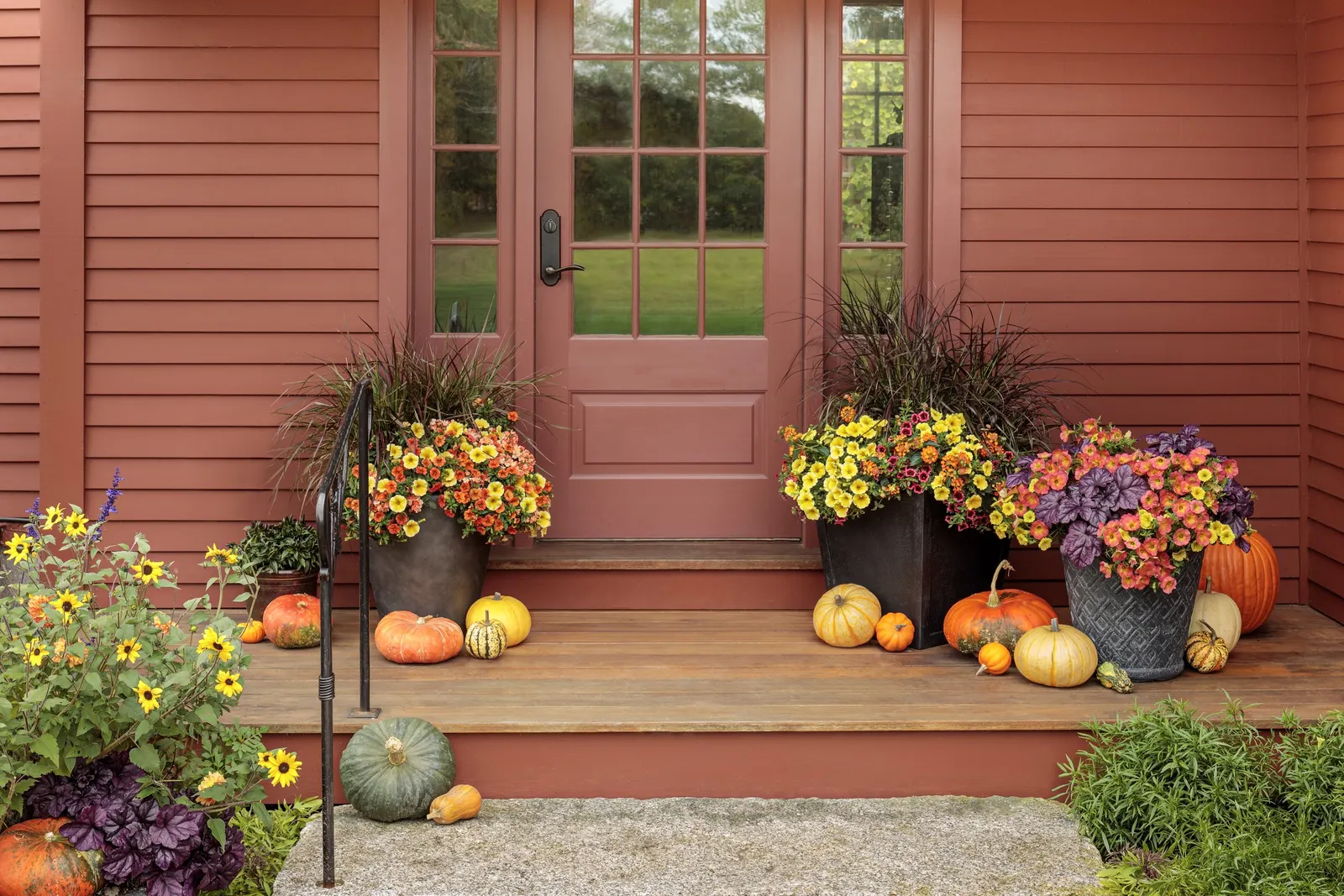 Persimmon Petunia — giving containers and front-of-border plantings a relaxed