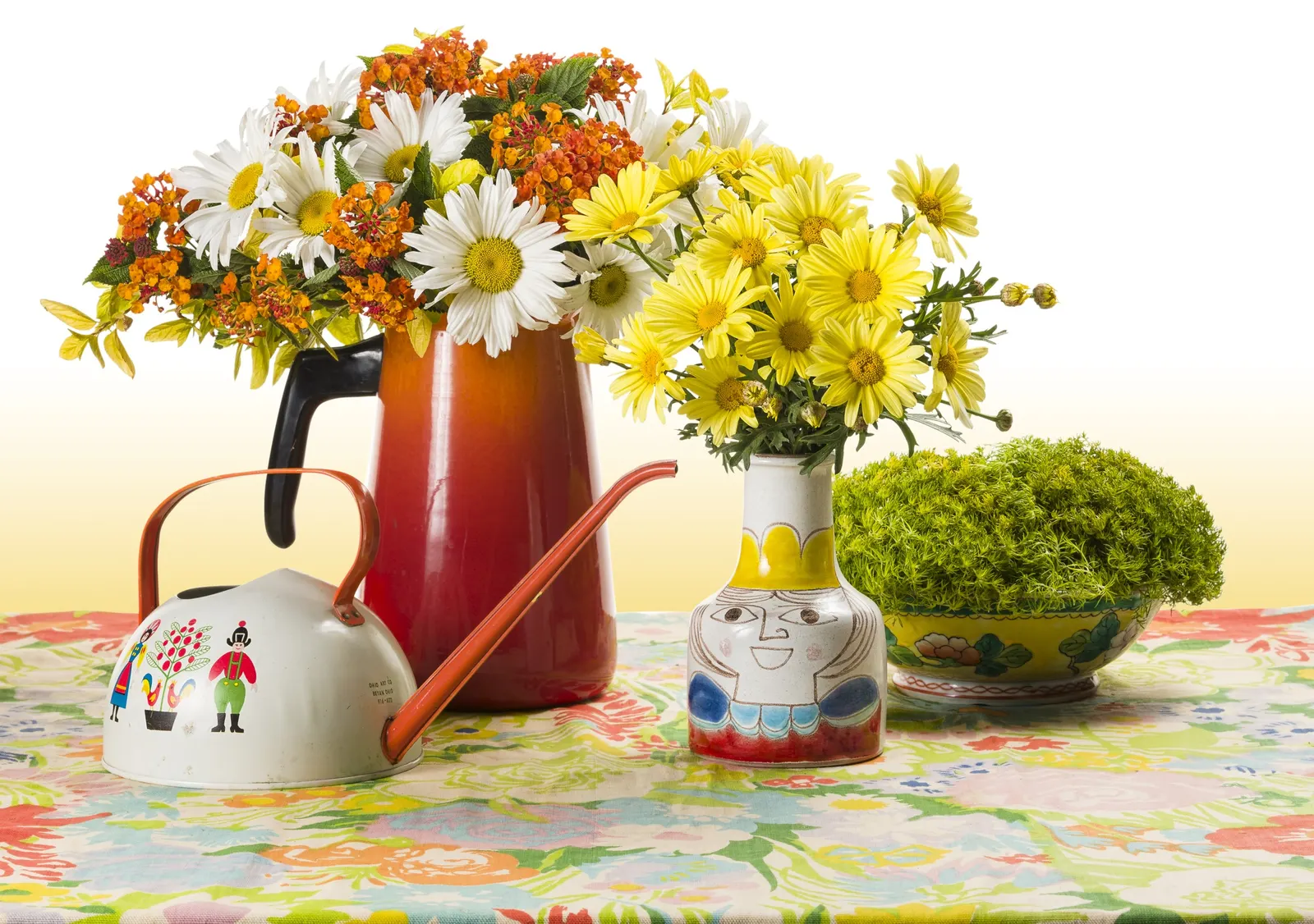 Daisy May® Shasta Daisy (Leucanthemum superbum) — Its upright habit keeps the plant visually tidy