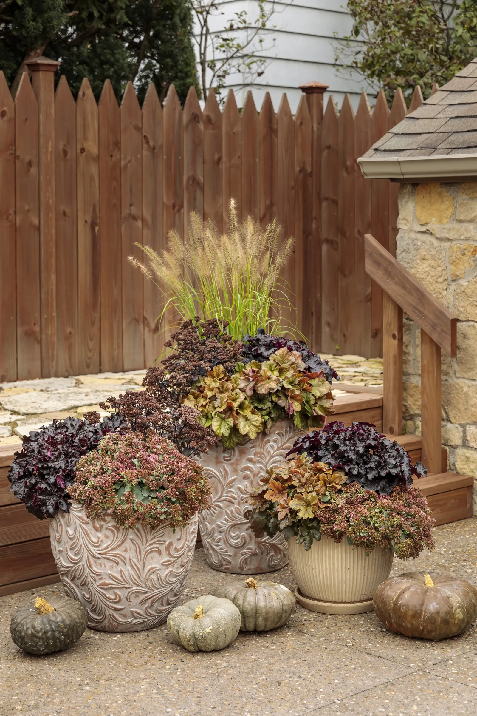 'Toffee Tart' Coral Bells (Heuchera hybrid) — where its tidy habit and persistent foliage color can provide structure long after the flowers have passed