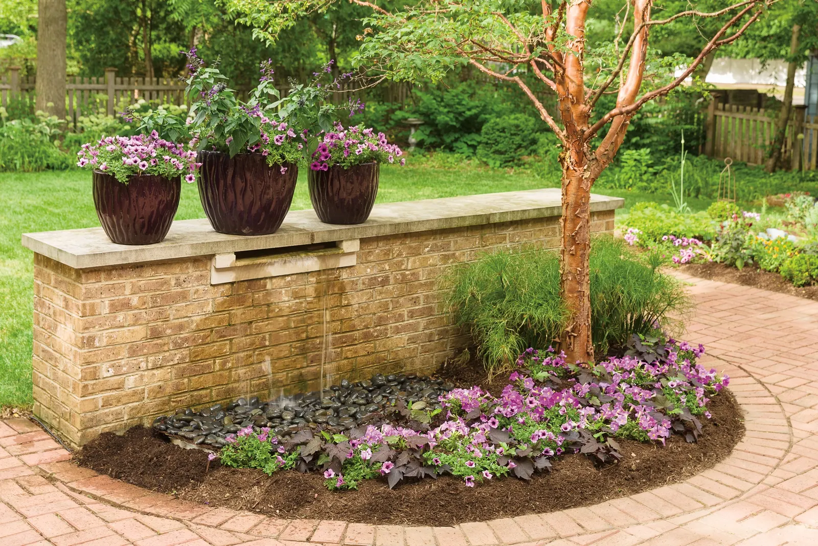 Bordeaux™ II Petunia — that aren't particularly fussy and need little routine maintenance; if your plant begins to look open or a bit tired, an allover trim