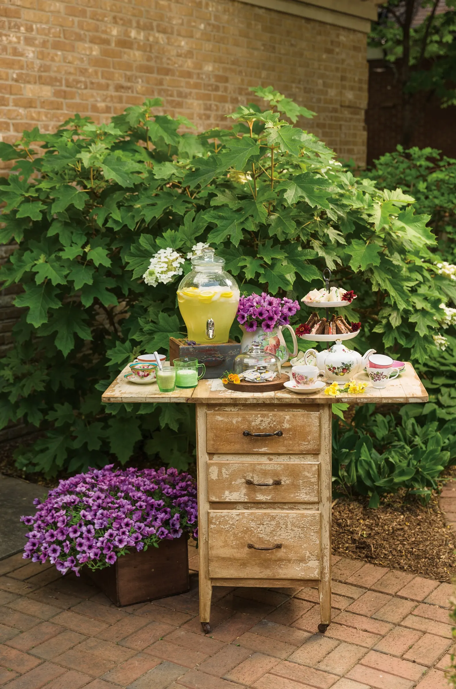 Bordeaux™ II Petunia — this updated form of Supertunia ® Bordeaux ™ petunia offers greater flower power that starts earlier in spring; that aren't, image 56