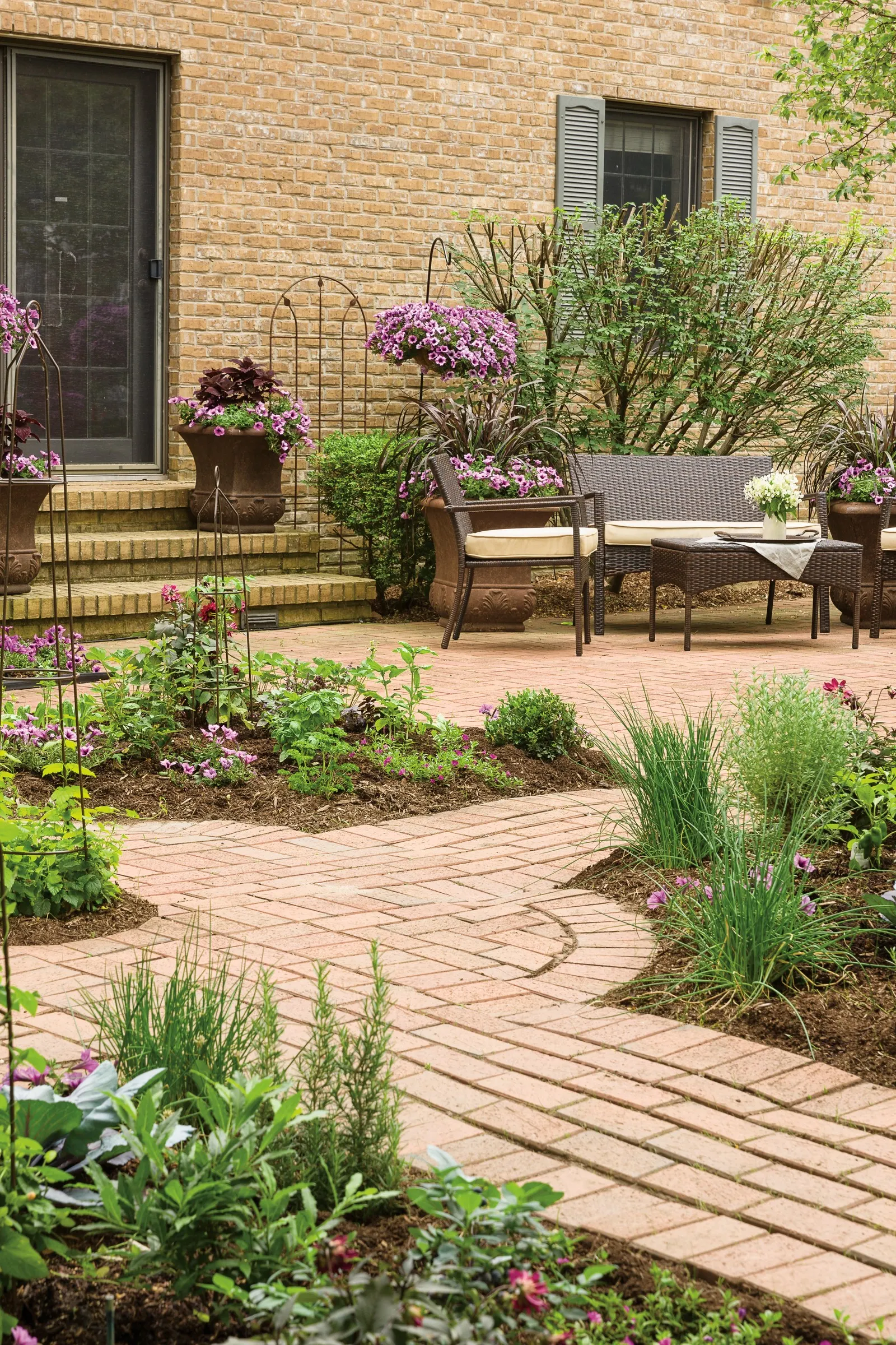 Bordeaux™ II Petunia — which helps them to be more durable in adverse weather and bounce back more quickly after it rains; they will perform best, image 141