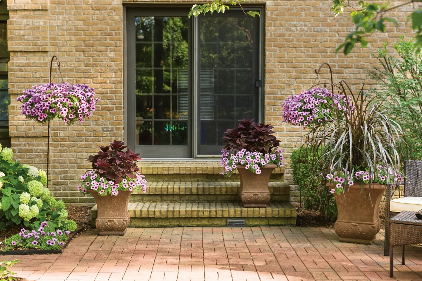 Bordeaux™ II Petunia — Use a sharp pair of scissors or pruning shears to trim back up to 1/3 of the volume of the plant; they have medium to large sized
