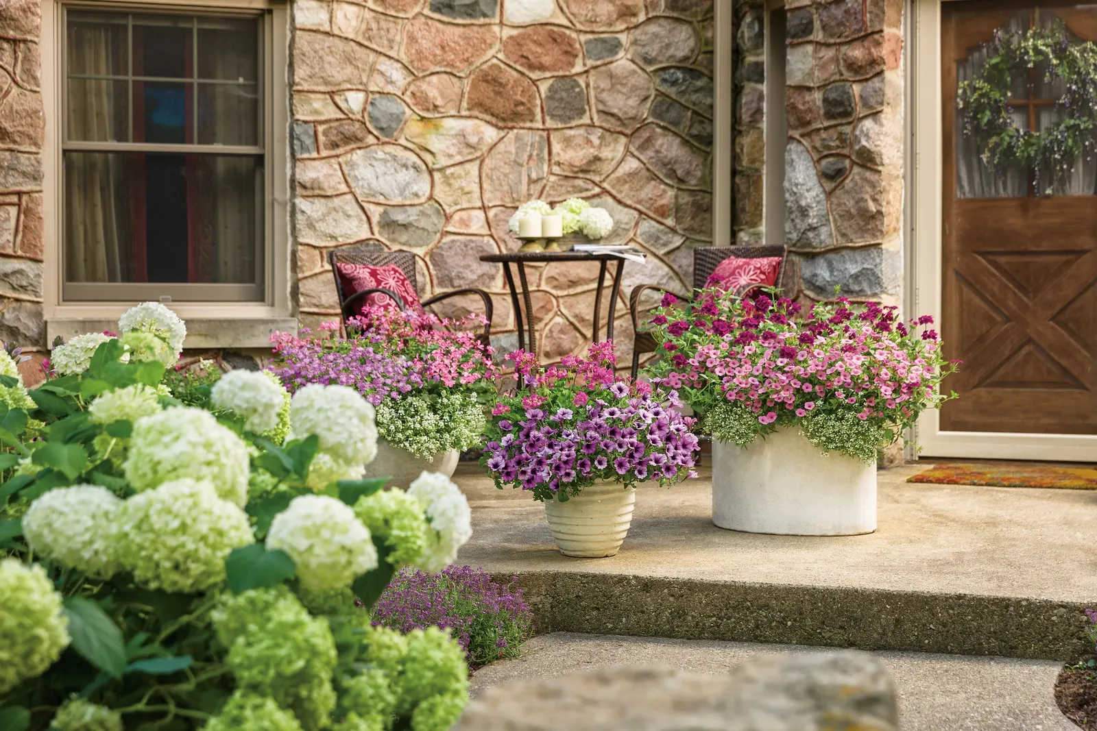 Bordeaux™ II Petunia — They have medium to large sized flowers.