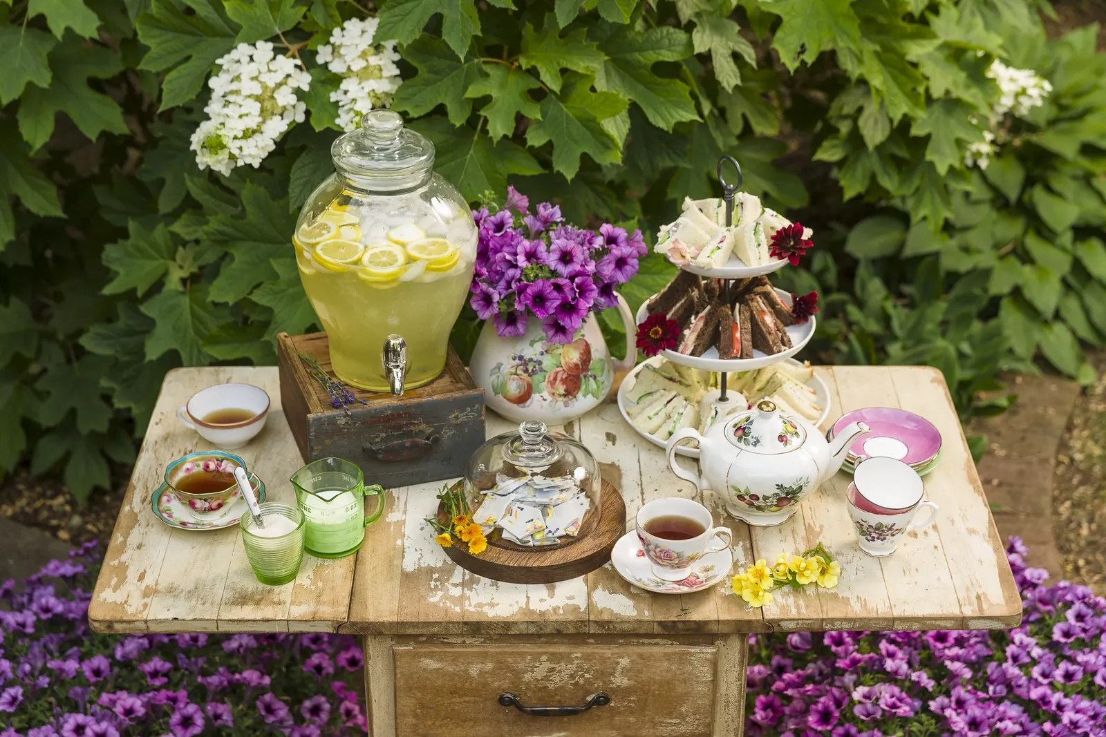 Bordeaux™ II Petunia — Use a sharp pair of scissors or pruning shears to trim back up to 1/3 of the volume of the plant; they have medium to large, image 75