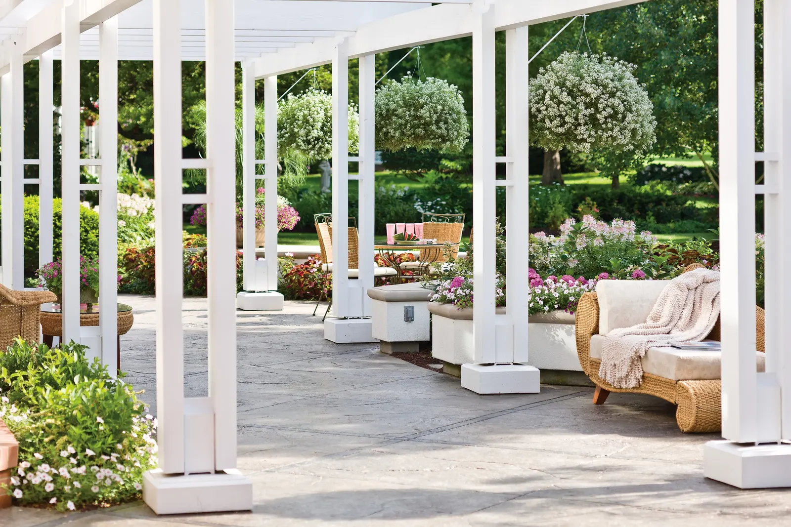 Snow Princess® Sweet Alyssum (Lobularia) — reaching about 10 to 16 inches tall and spreading an impressive 24 to 48 inches when well grown; as this, image 80