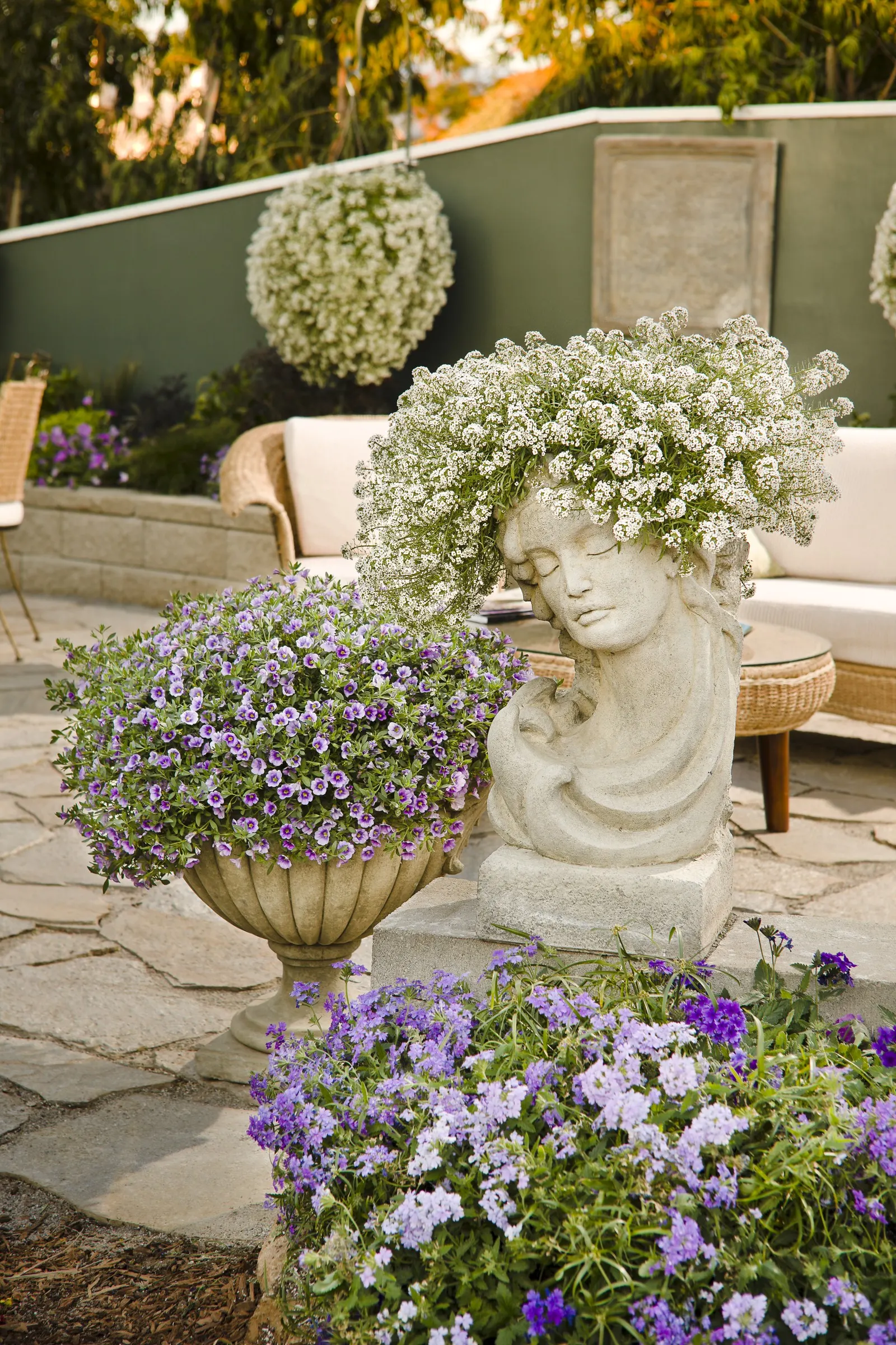 Snow Princess® Sweet Alyssum (Lobularia) — it has earned a reputation for flowering steadily through challenging warm seasons; it may need frequent, image 117