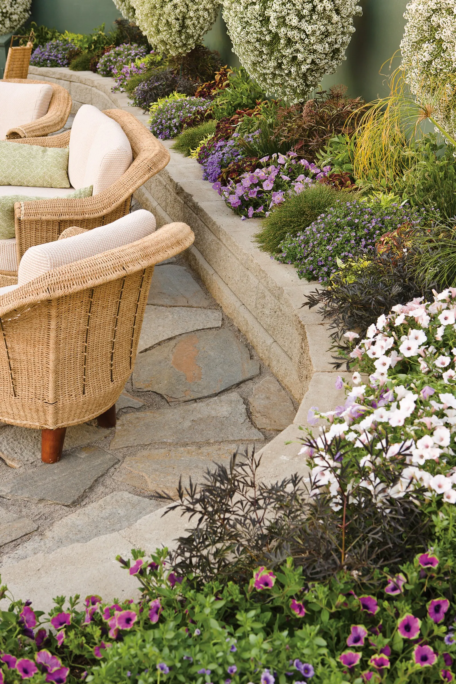 Snow Princess® Sweet Alyssum (Lobularia) — Though used as an annual in most climates; it grows 10-16 inches tall and spreads 24-48 inches, creating, image 81