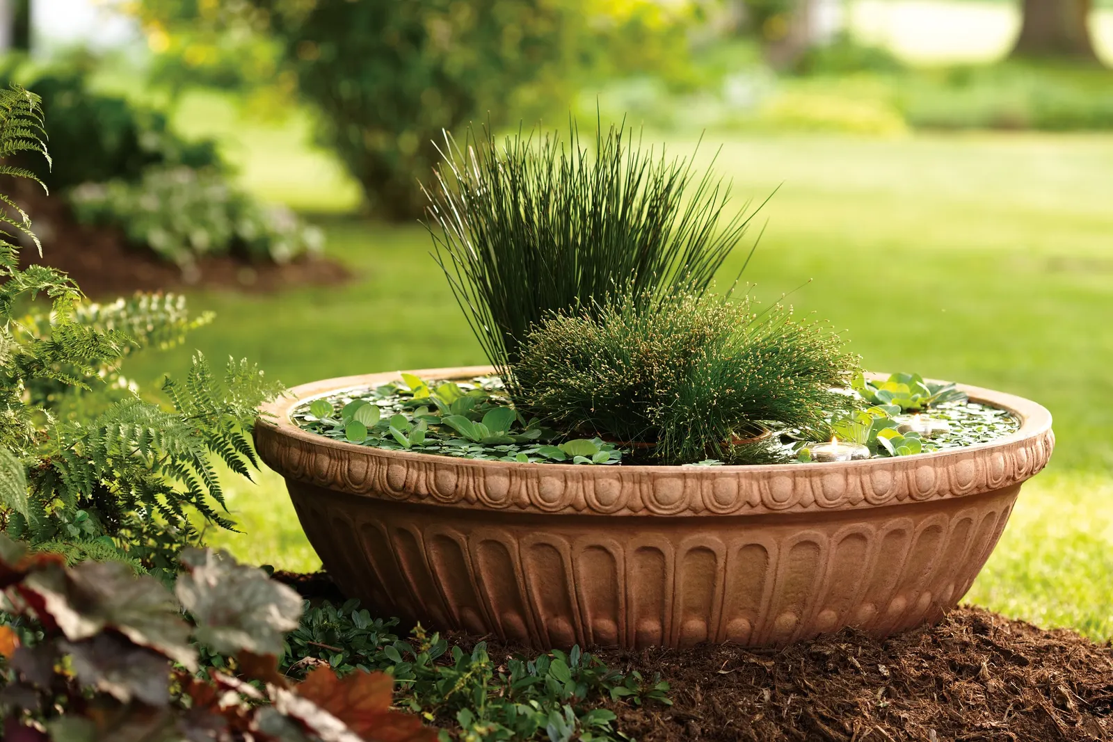 Blue Mohawk® Soft Rush (Juncus inflexus) — If you like to tidy your garden in fall or if you live in an area where fire can be problematic; snow or, image 71