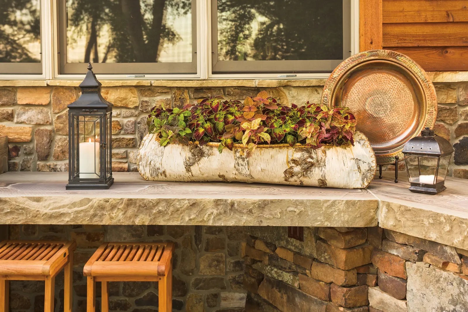 Dipt in Wine Coleus (Coleus scutellarioides) — We have worked hard to choose coleus that bloom late in the season or not at all