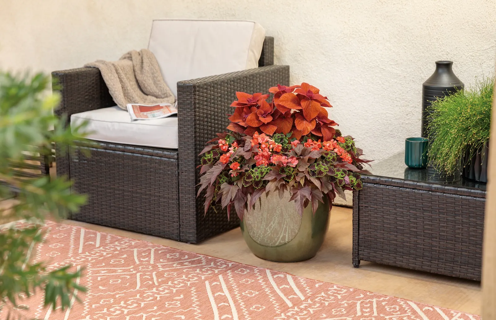 Tropical Shades Double Impatiens (Impatiens walleriana) — and shaded landscape beds where continuous color is essential