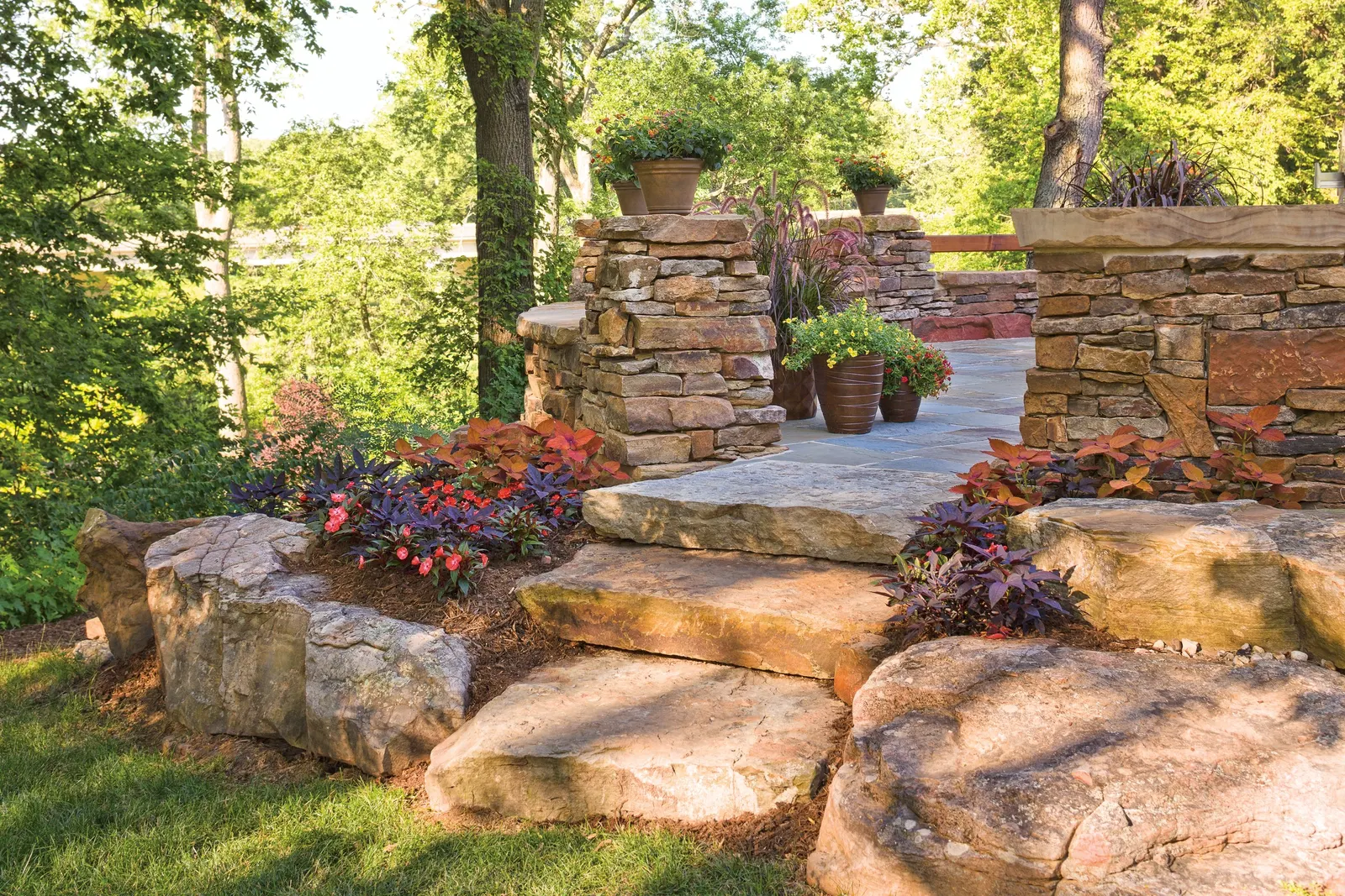 Sedona Sunset® Coleus (Coleus scutellarioides) — where its upright copper tones glow above trailing alyssum