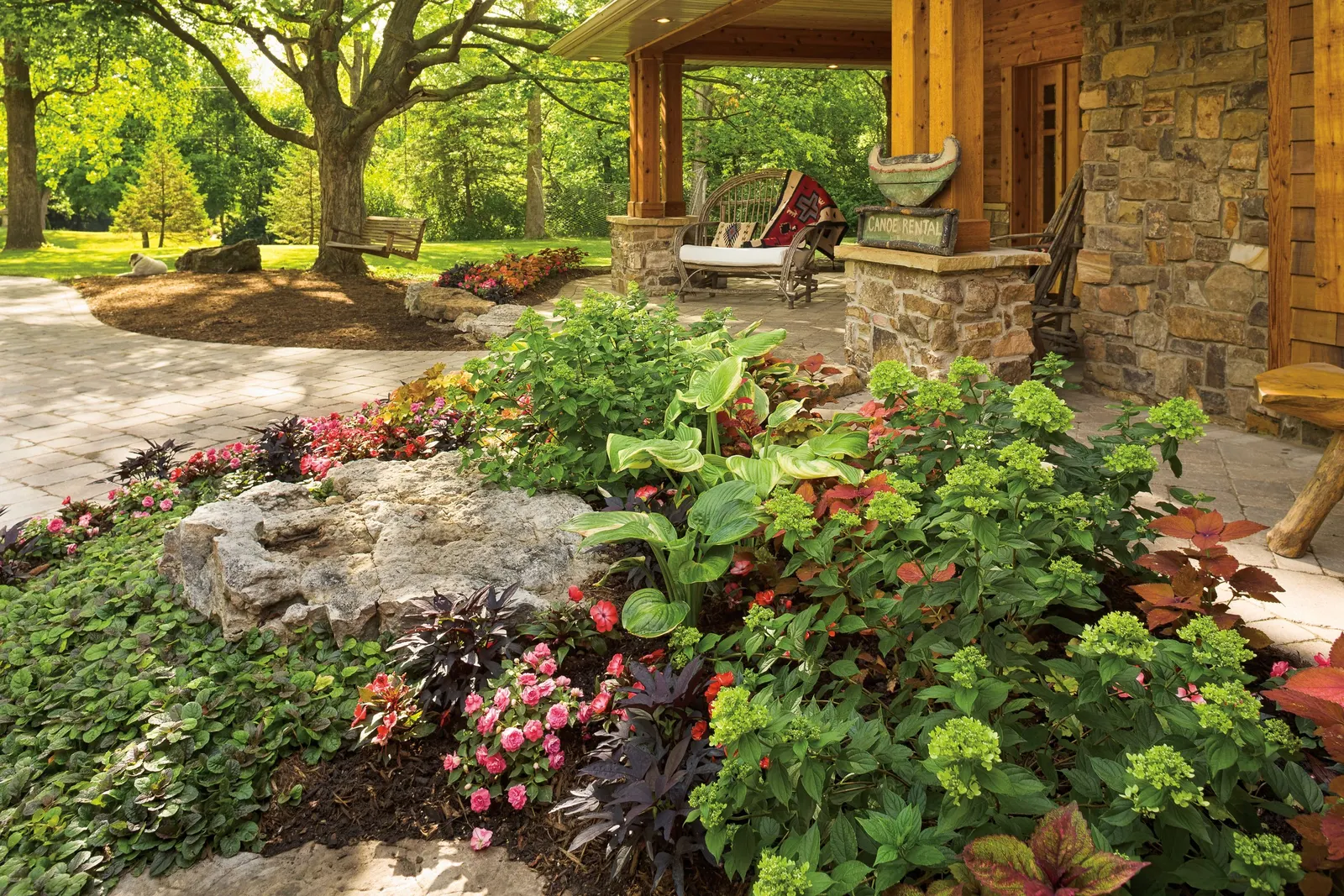 Sedona Sunset® Coleus (Coleus scutellarioides) — In borders and mass plantings