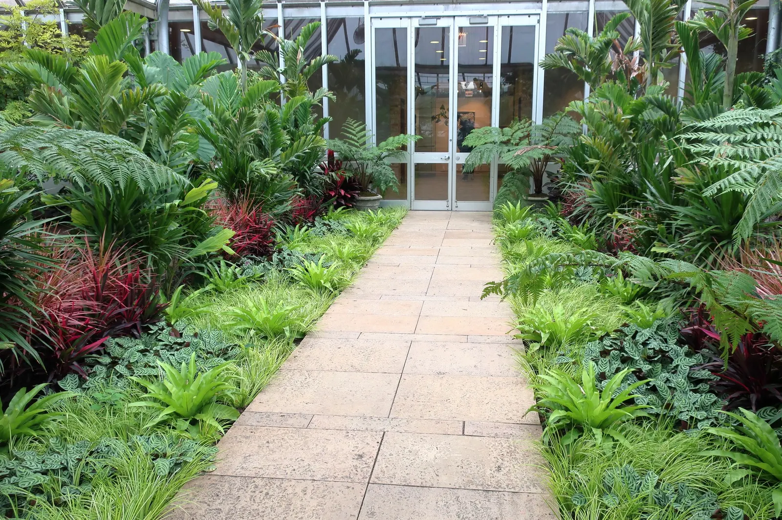 Dwarf Golden Variegated Sweet Flag (Acorus gramineus 'Minimus Aureus') — making it ideal for water features; simply clean up any dead or damaged foliage in the