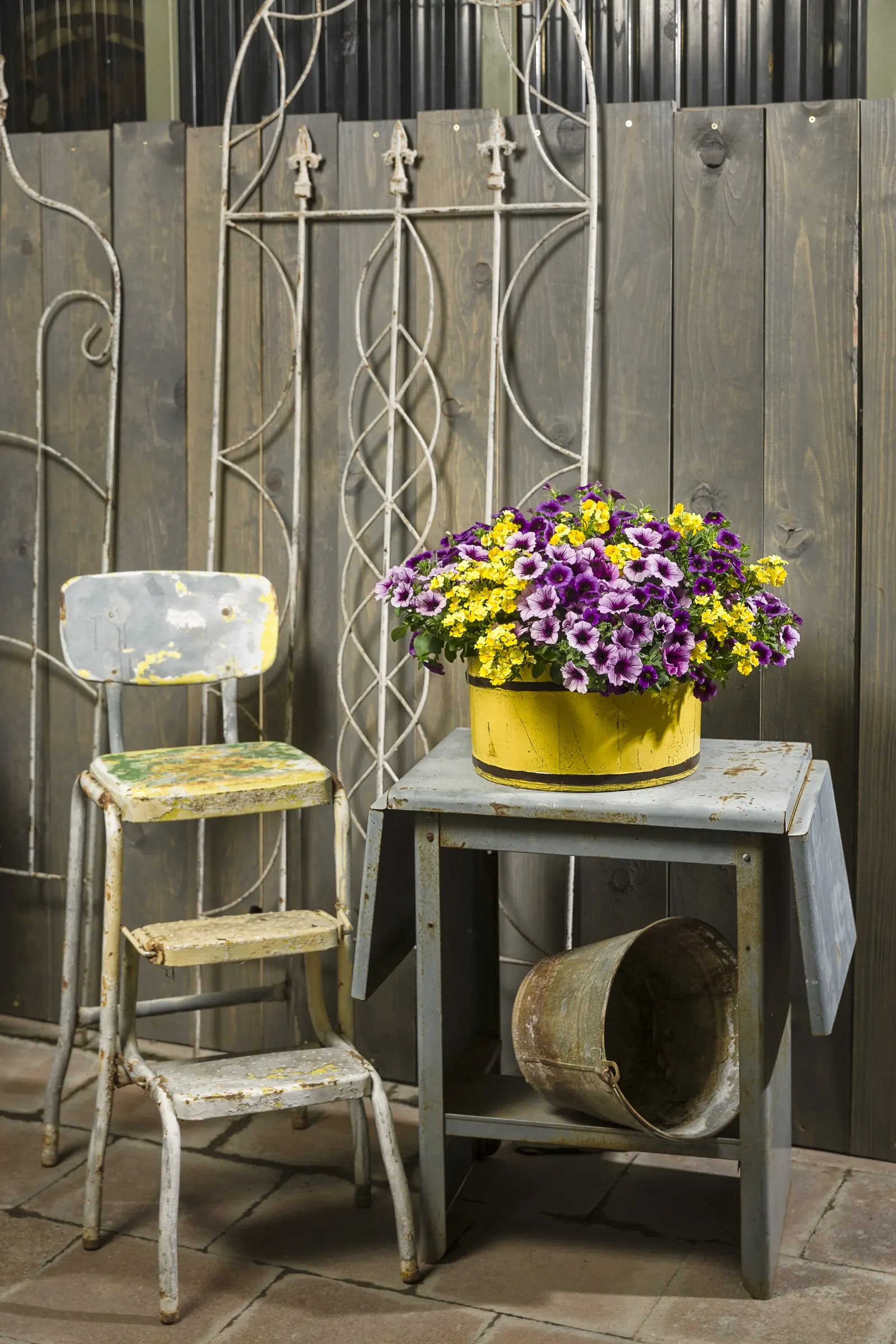 Grape Punch™ II Calibrachoa — polished display without the need for deadheading.<br><br>With a mounding trailing habit