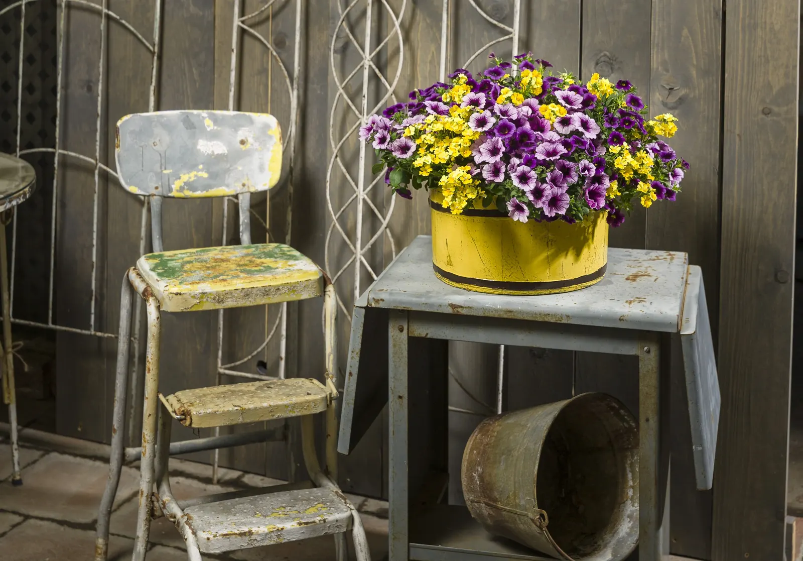 Grape Punch™ II Calibrachoa — where moisture can be controlled and the top of the mix can dry slightly between waterings