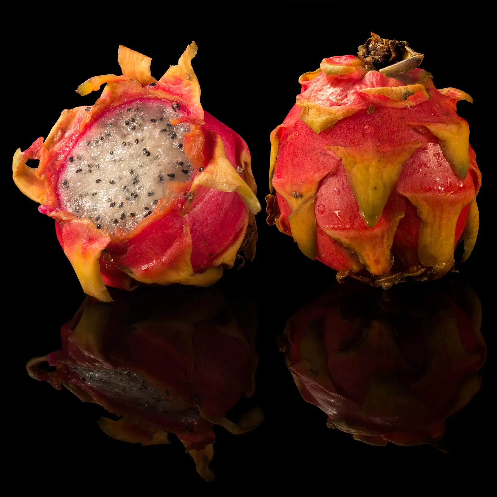 Dragon Fruit (Hylocereus Undatus) — Monthly fertilization with a balanced, low-nitrogen blend during the growing season encourages robust health