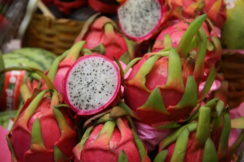 Dragon Fruit (Hylocereus Undatus) — Its fleshy stems span up to 6 inches wide and boast an array of spines along the ridges
