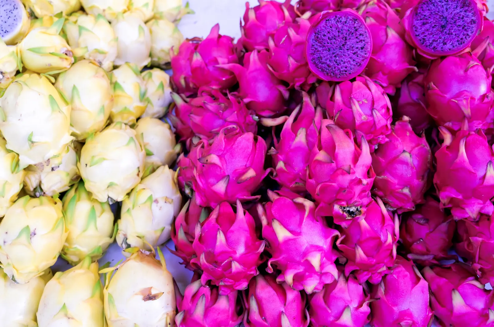 Dragon Fruit (Hylocereus Undatus) — this vining cactus requires a sturdy trellis or framework to climb