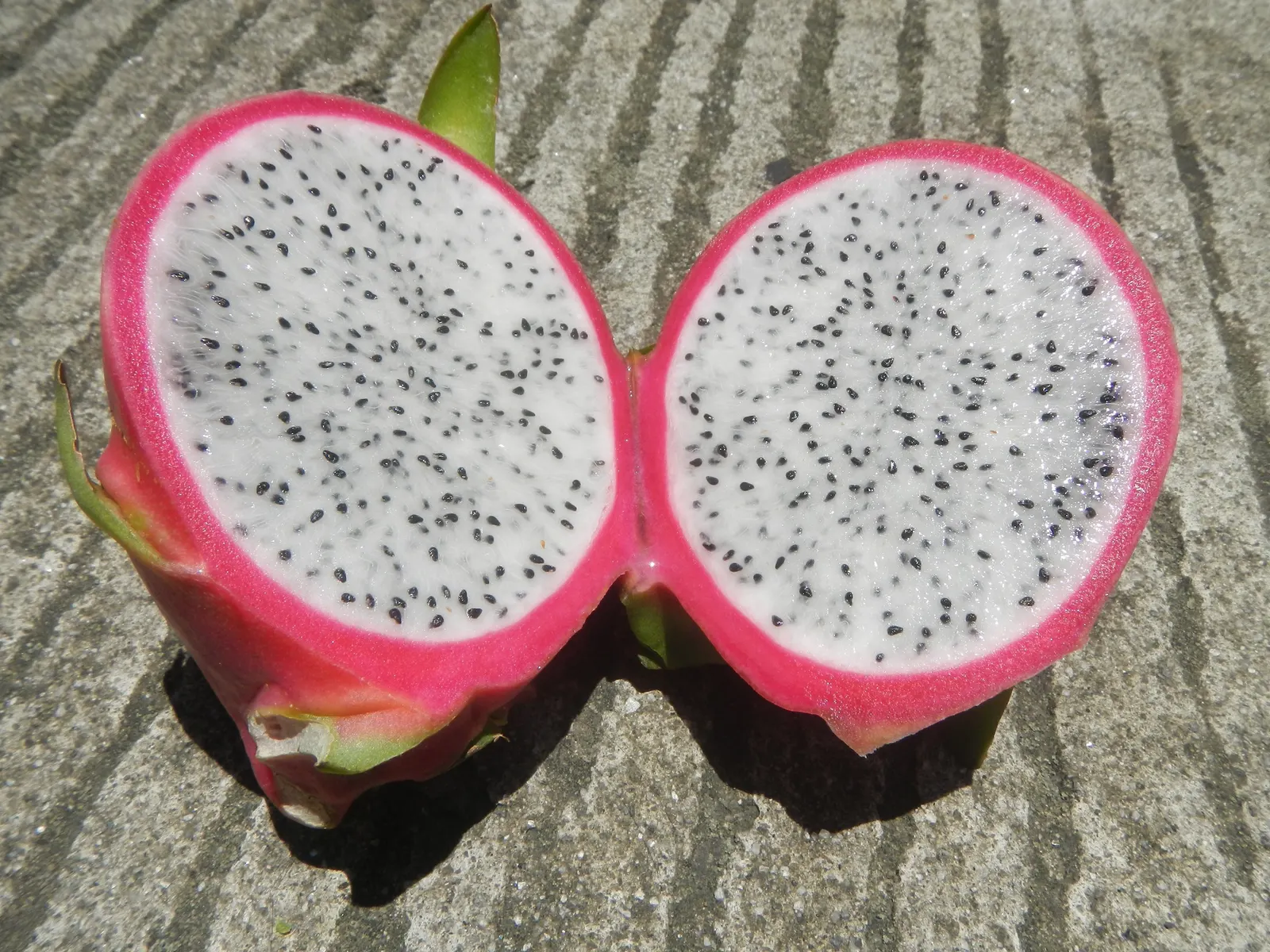 Dragon Fruit (Hylocereus Undatus) — It thrives in warm climates (USDA zones 10-11) with full to partial sun