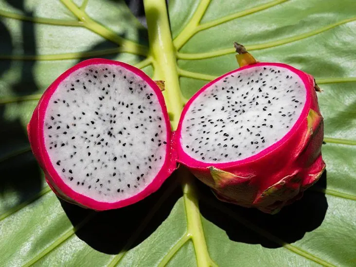 Dragon Fruit (Hylocereus Undatus) — nocturnal blooms are up to 14 inches wide