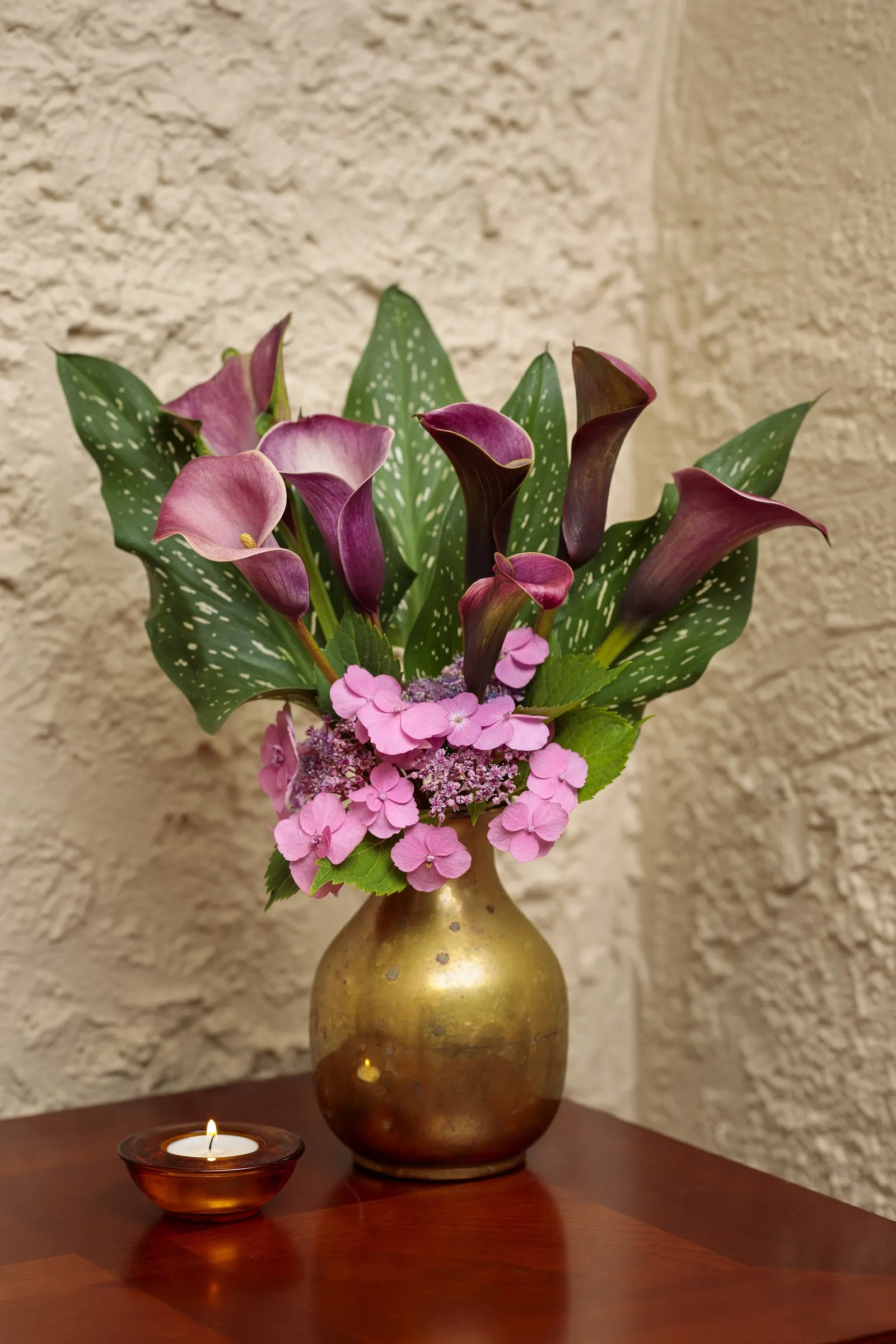 Tuff Stuff™ Reblooming Mountain Hydrangea (Hydrangea serrata) — Grow in sun to part sun, with afternoon shade in hot climates, moist well-drained soil, and