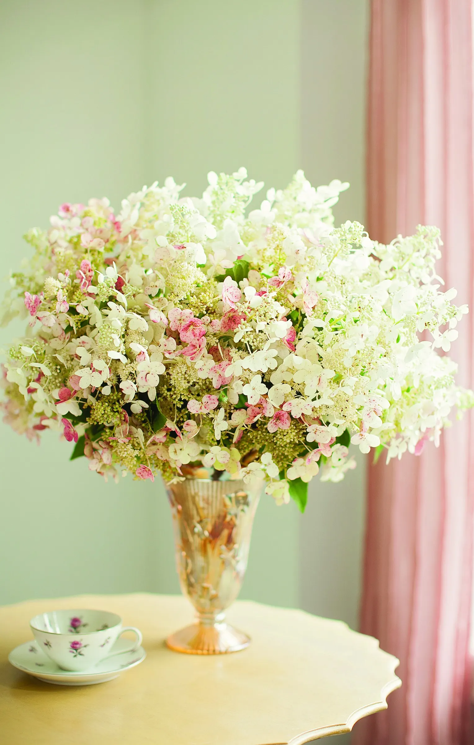 Quick Fire® Panicle Hydrangea (Hydrangea paniculata) — Grow in full sun to part sun