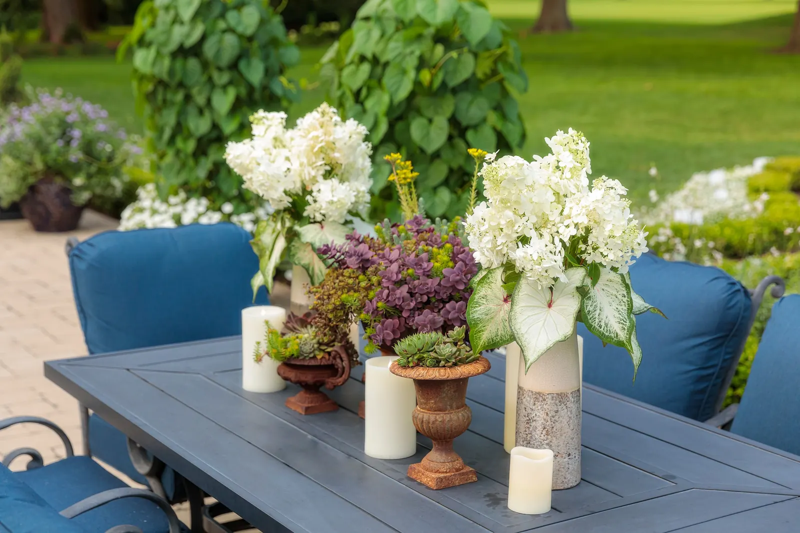 Fire Light Tidbit® Panicle Hydrangea (Hydrangea paniculata) — well-drained soil and average water