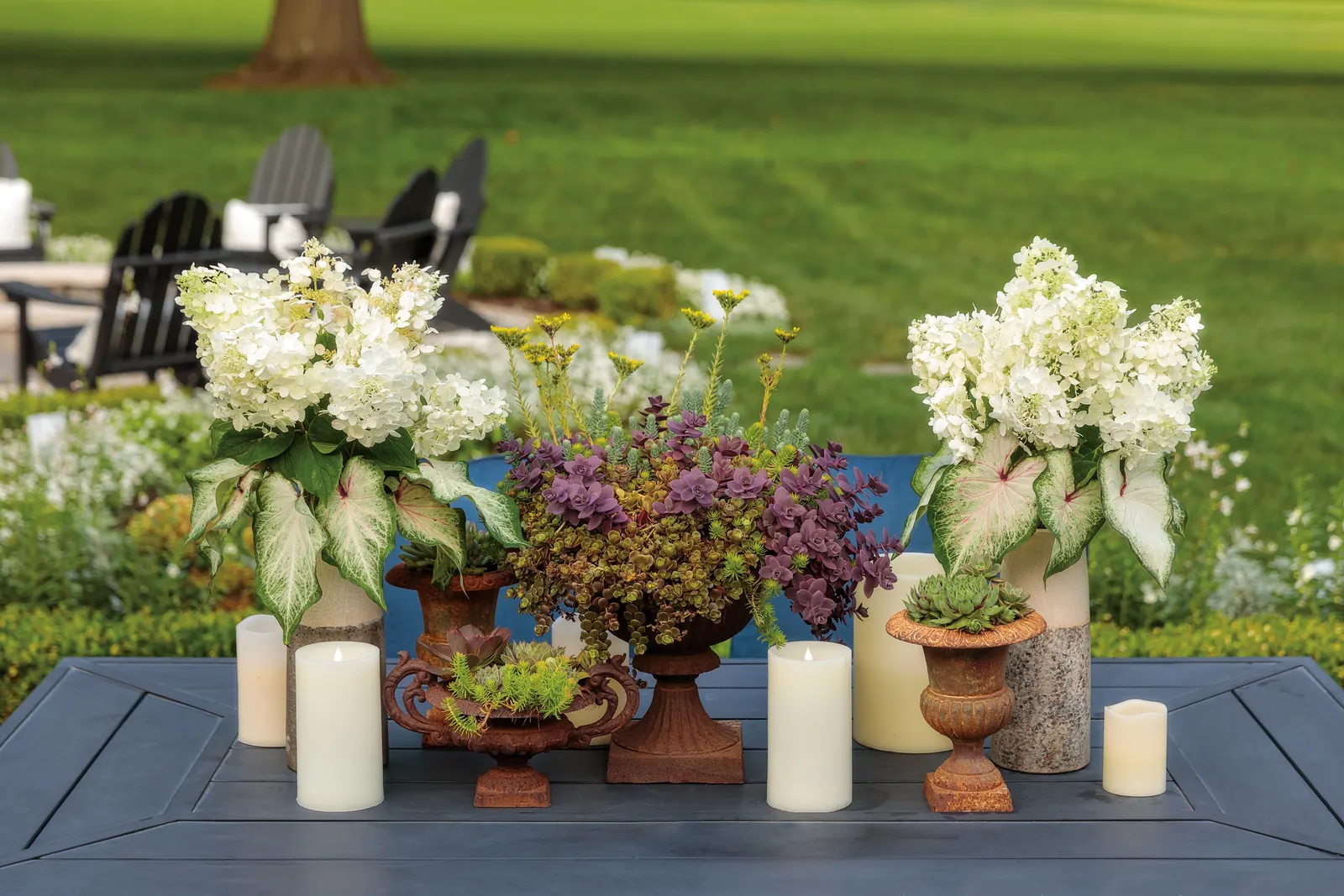 Fire Light Tidbit® Panicle Hydrangea (Hydrangea paniculata) — bringing that bright white-to-rose seasonal transformation indoors with ease