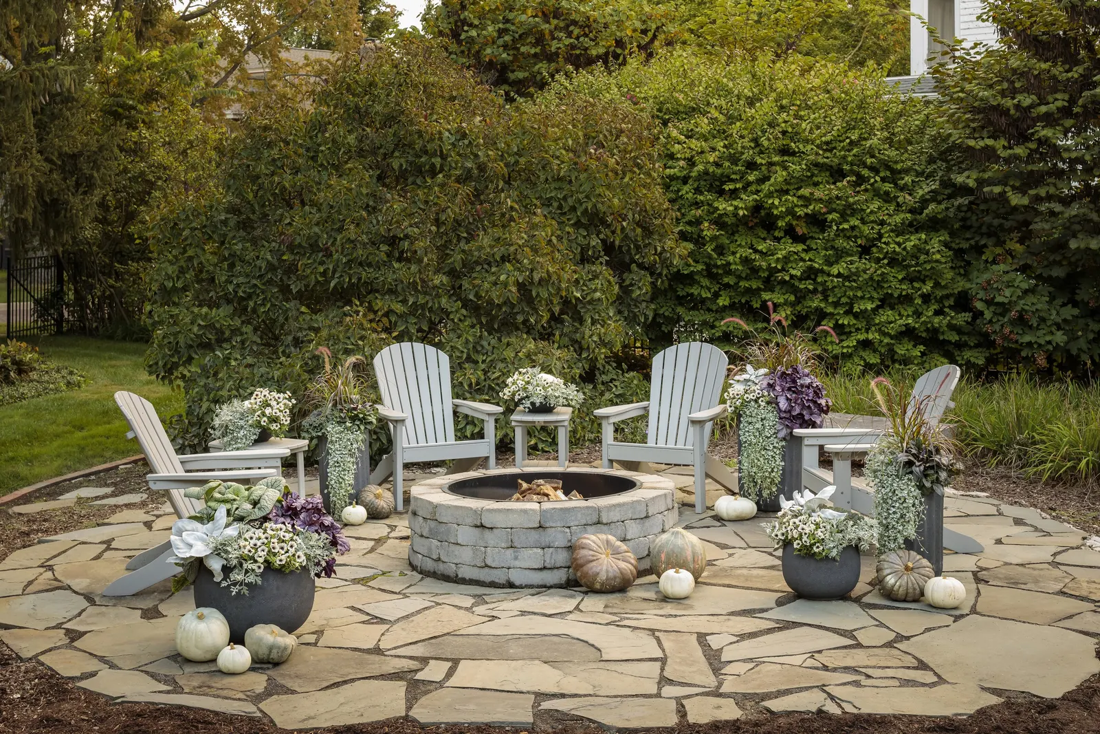 Silver Falls™ Dichondra (Dichondra argentea) — Part of the Proven Winners® collection; it appreciates well-drained soil and average watering