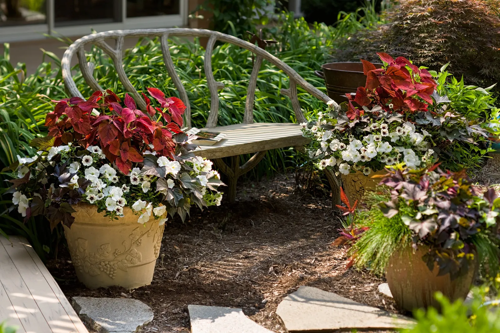 White Petunia — These are heat tolerant plants; you may repeat the trim as needed through the season