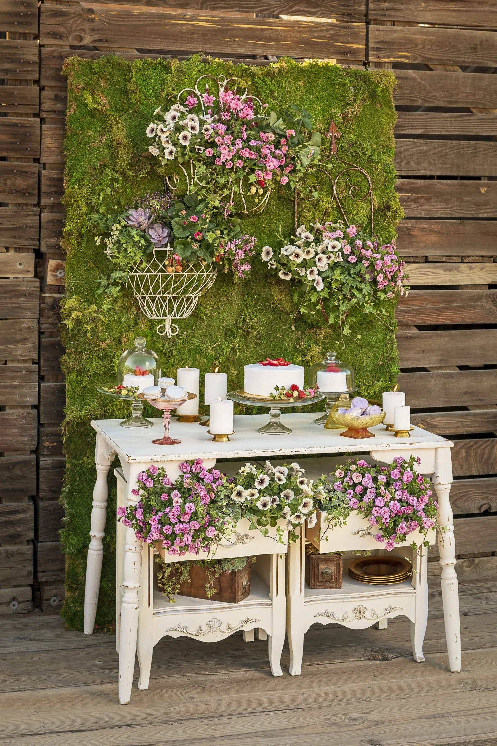 Double Smitten Pink™ Double Calibrachoa — is a charming mounding-trailing annual with a distinctly romantic presence in containers