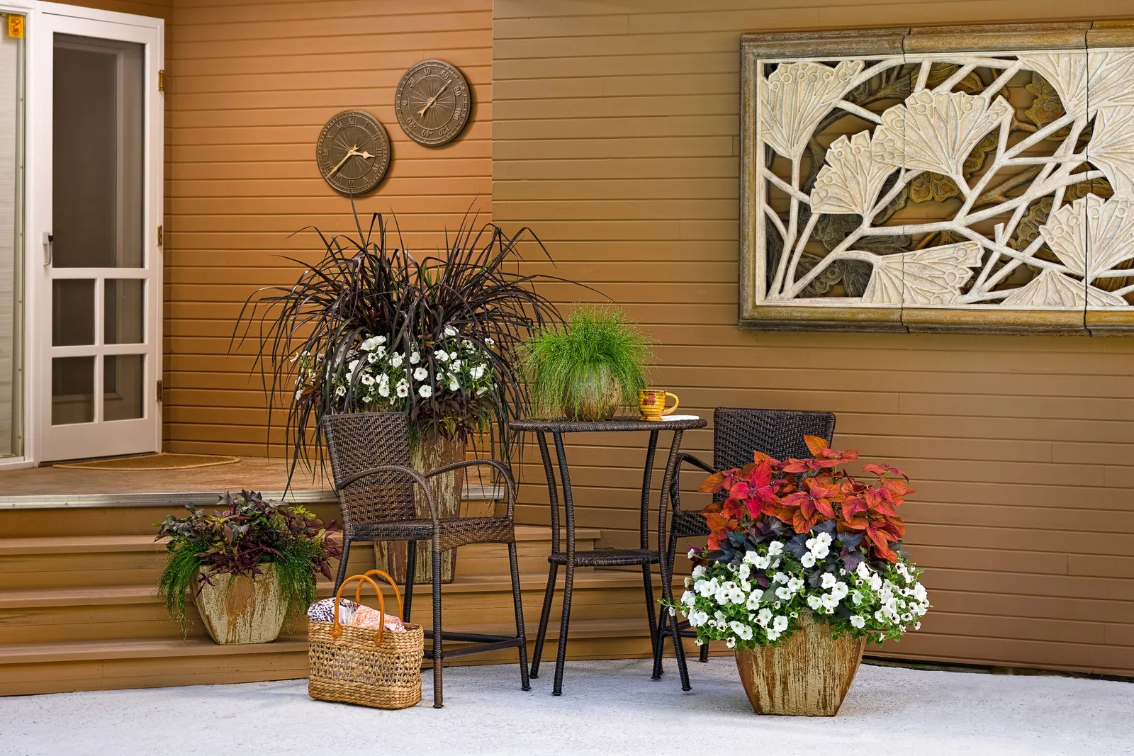 Red Hawk™ II Ornamental Sweet Potato Vine (Ipomoea) — The warm red-brown tones bring depth to summer combinations; grow in part sun to full sun with, image 83