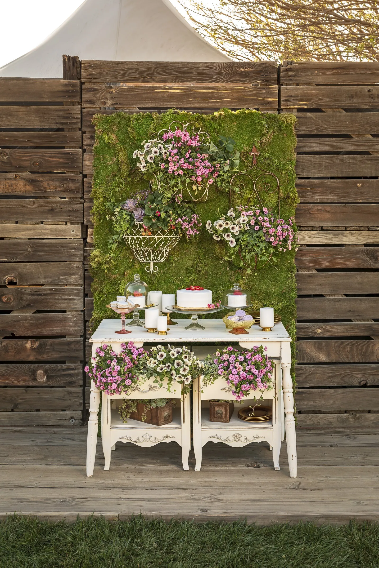 Double Smitten Pink™ Double Calibrachoa — letting containers dry slightly between waterings