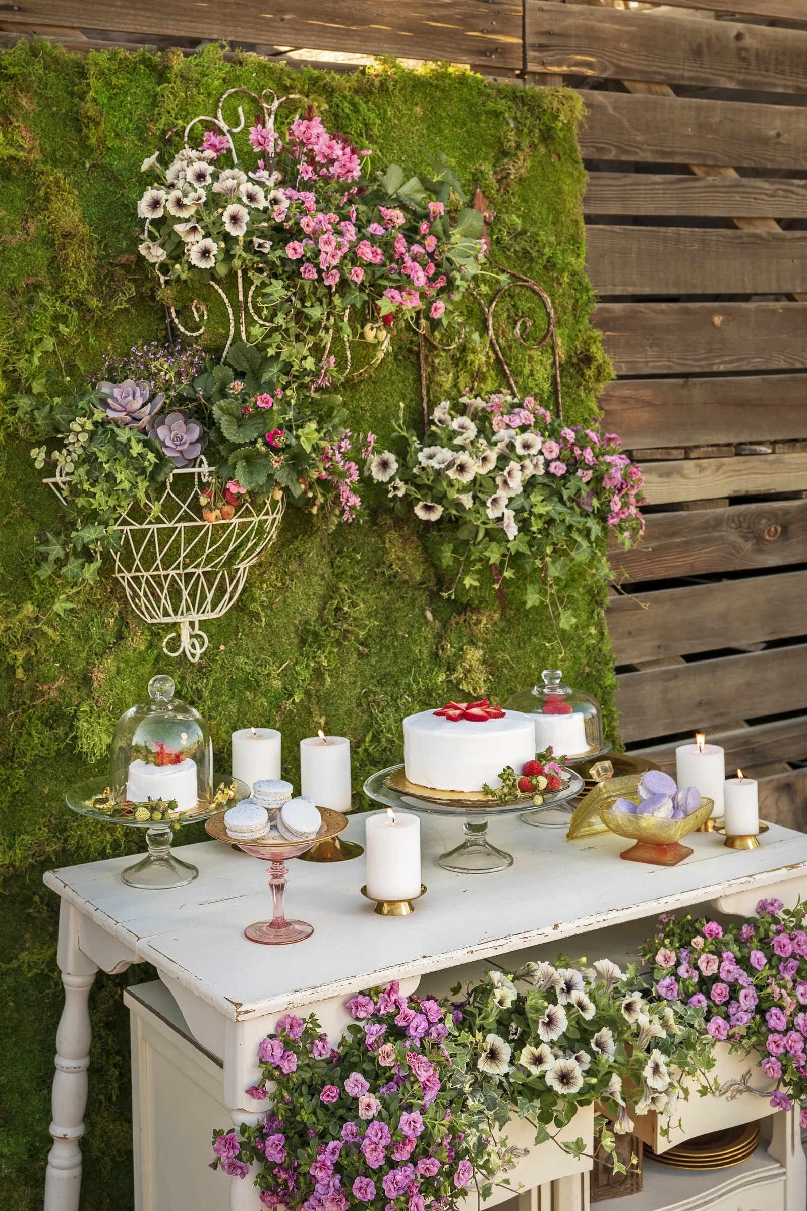 Double Smitten Pink™ Double Calibrachoa — Part of the Proven Winners® Superbells® collection