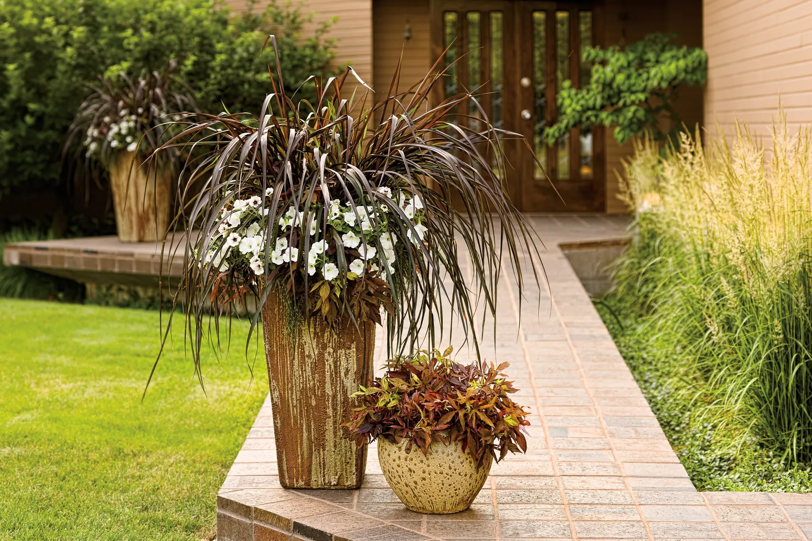 White Petunia — an allover trim can be beneficial for this petunia for hanging baskets; your plant will take a week to recover from the trim, image 65