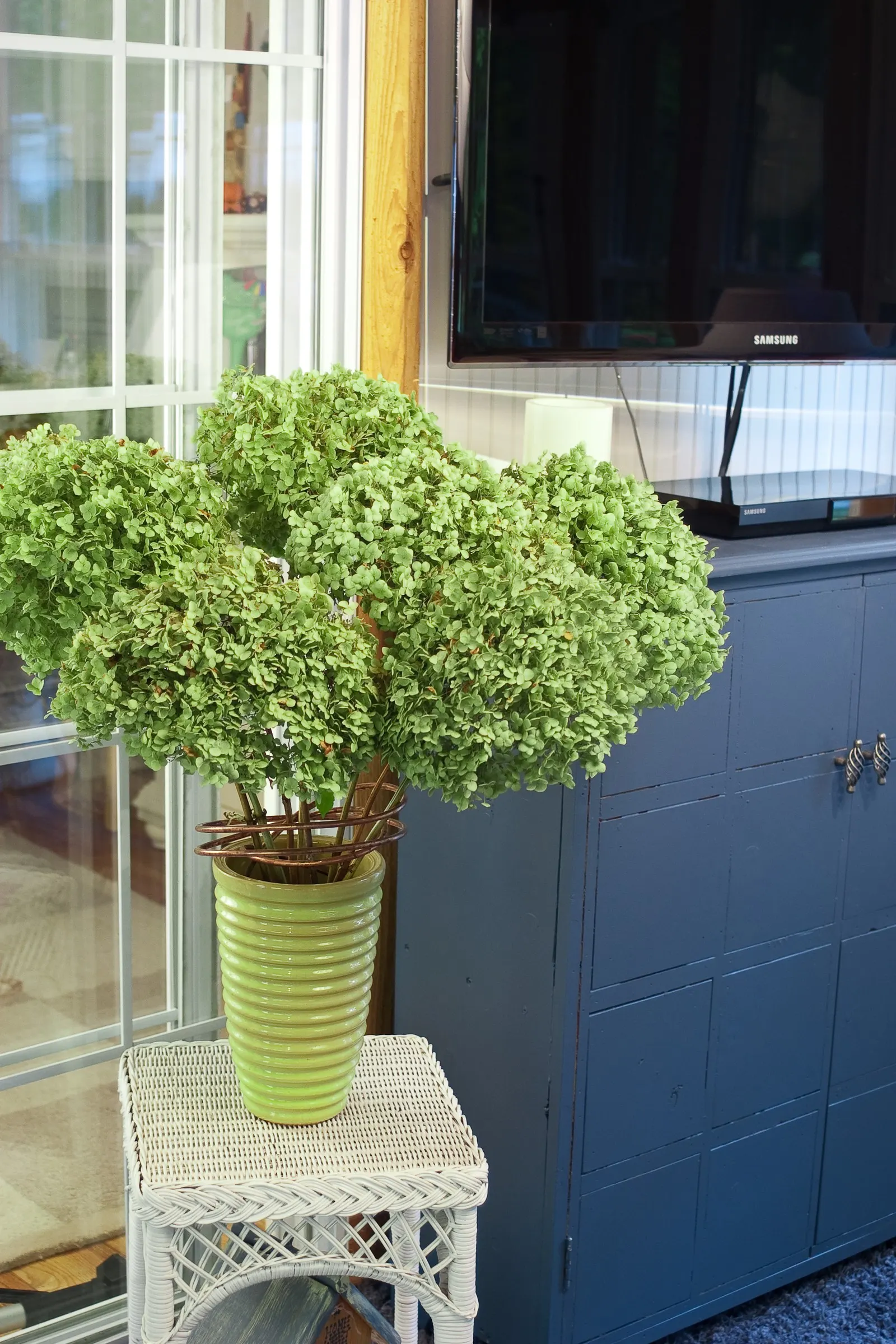 Incrediball® Smooth Hydrangea (Hydrangea arborescens) — Its blooms are excellent fresh-cut and equally useful dried