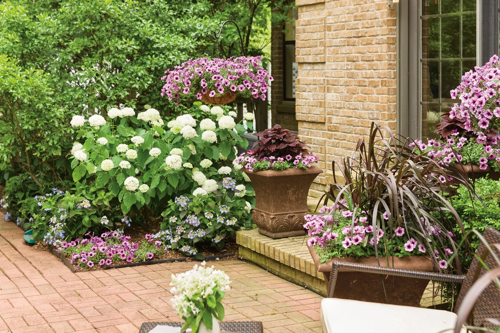 Bordeaux™ II Petunia — Delivering the outstanding garden performance you’ve come to love about Supertunia ® petunias