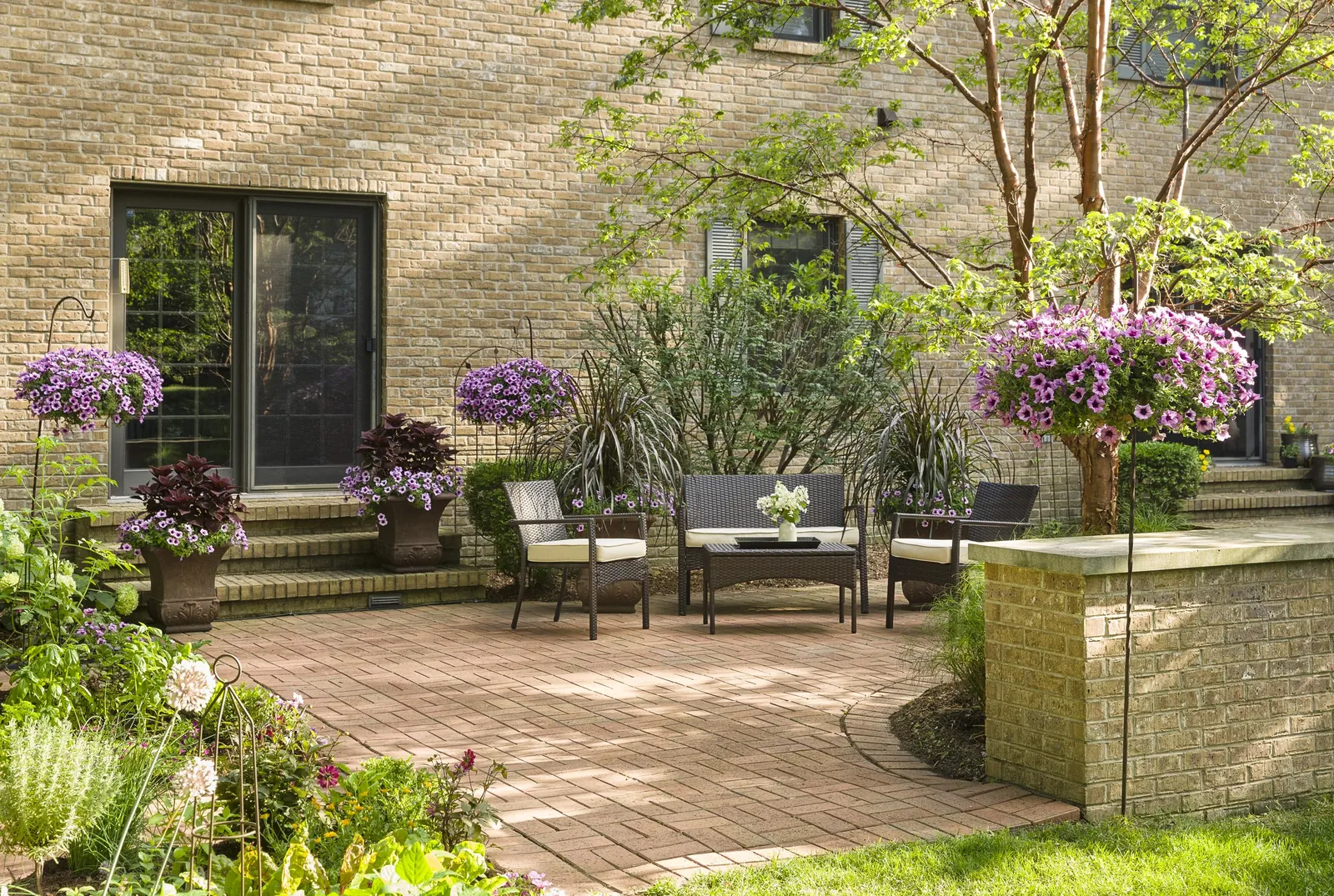 Royale Cherry Brandy® Coleus (Coleus scutellarioides) — wine-red presence to both sun and shade plantings