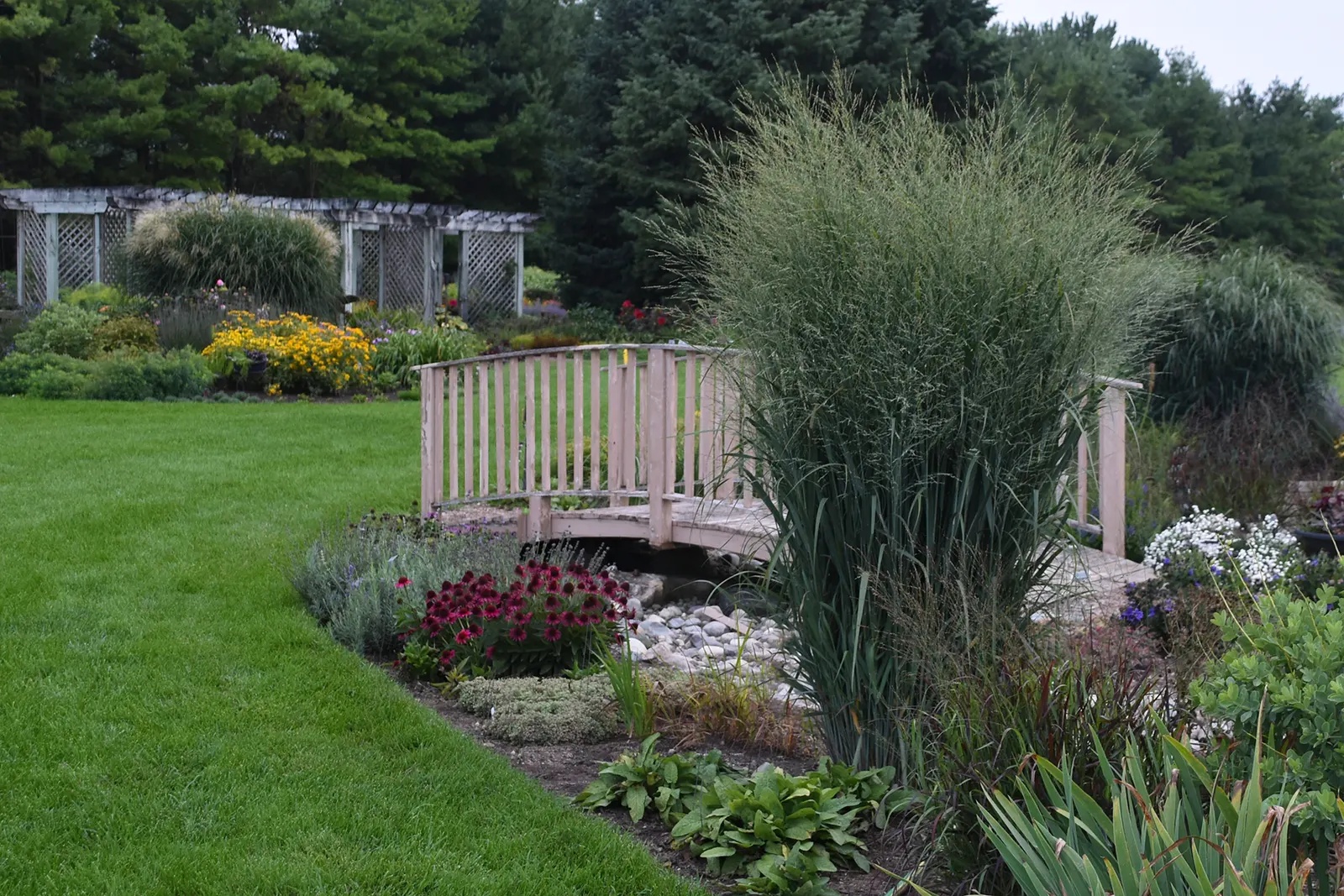 'Totem Pole' Switch Grass (Panicum virgatum) — Does well in any soil from sand to clay