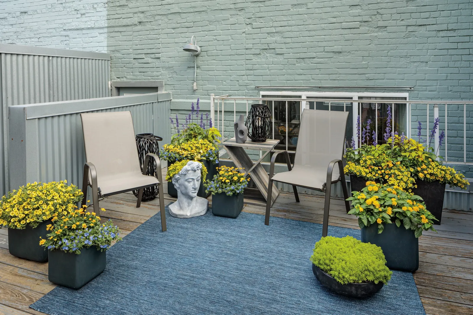 Blue My Mind® Dwarf Morning Glory (Evolvulus) — It prefers average, well-drained soil and benefits from compost or a slow-release fertilizer at planting