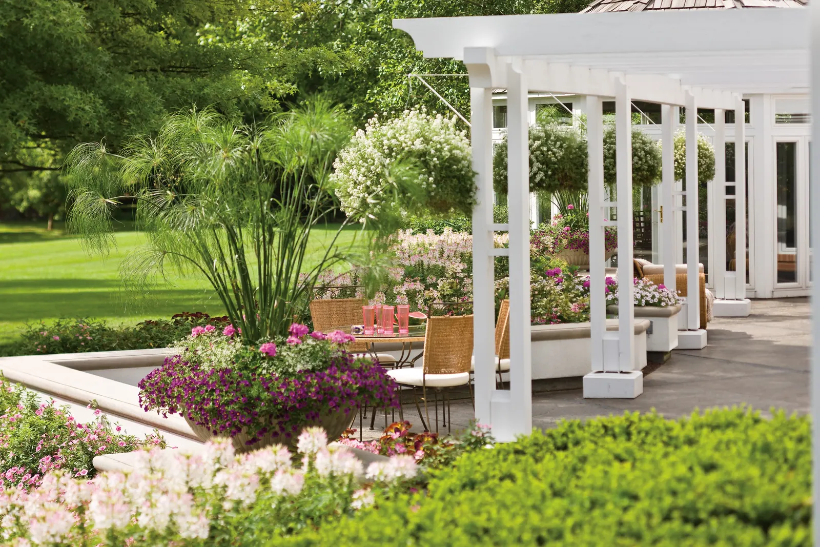 Plum II Calibrachoa — well-drained soil and average moisture