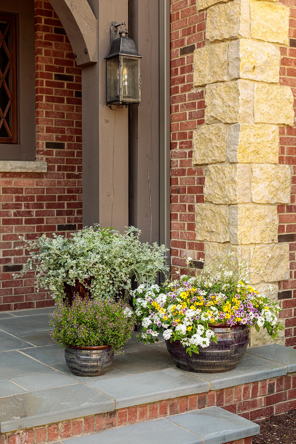 Holy Smokes!® Calibrachoa — almost hand-brushed effect against fresh green foliage
