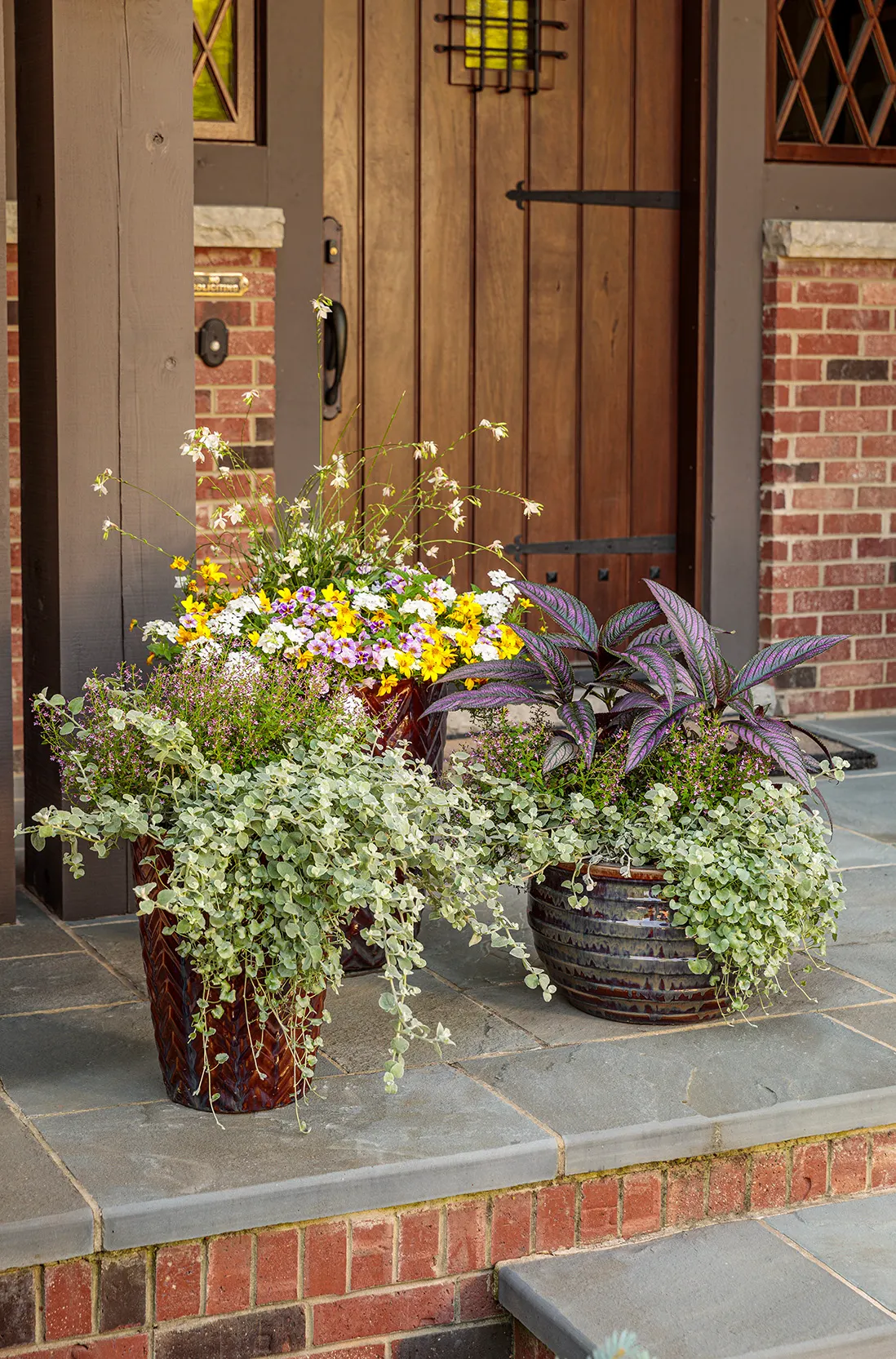 Holy Smokes!® Calibrachoa — is a mounding-trailing annual with a playful