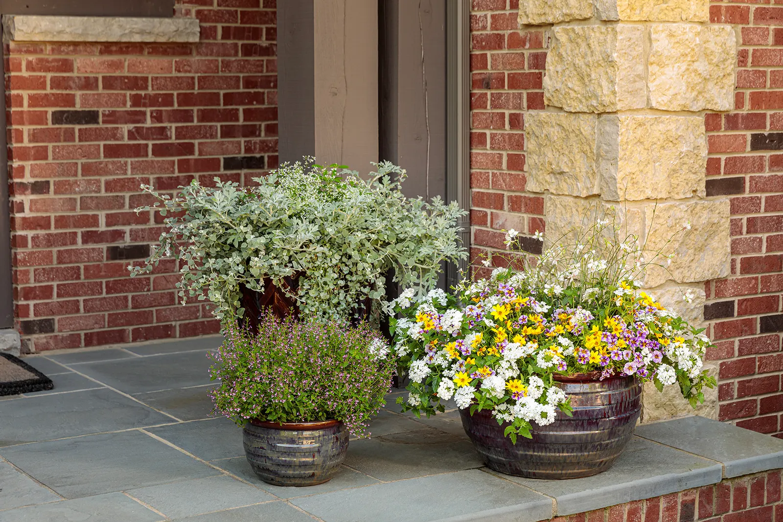 Holy Smokes!® Calibrachoa — painterly presence in summer containers