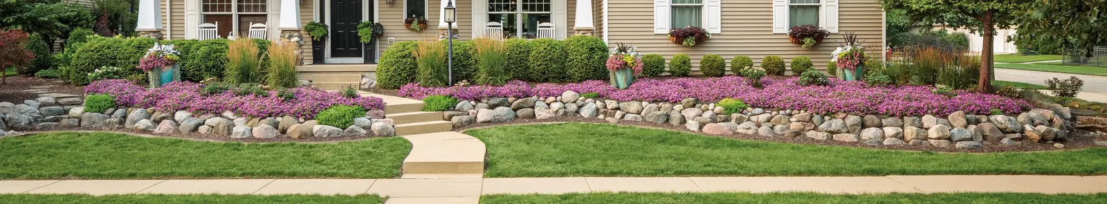 Let's Dance Can Do!® Reblooming hydrangea (Hydrangea macrophylla × serrata) — Part of the Proven Winners® collection