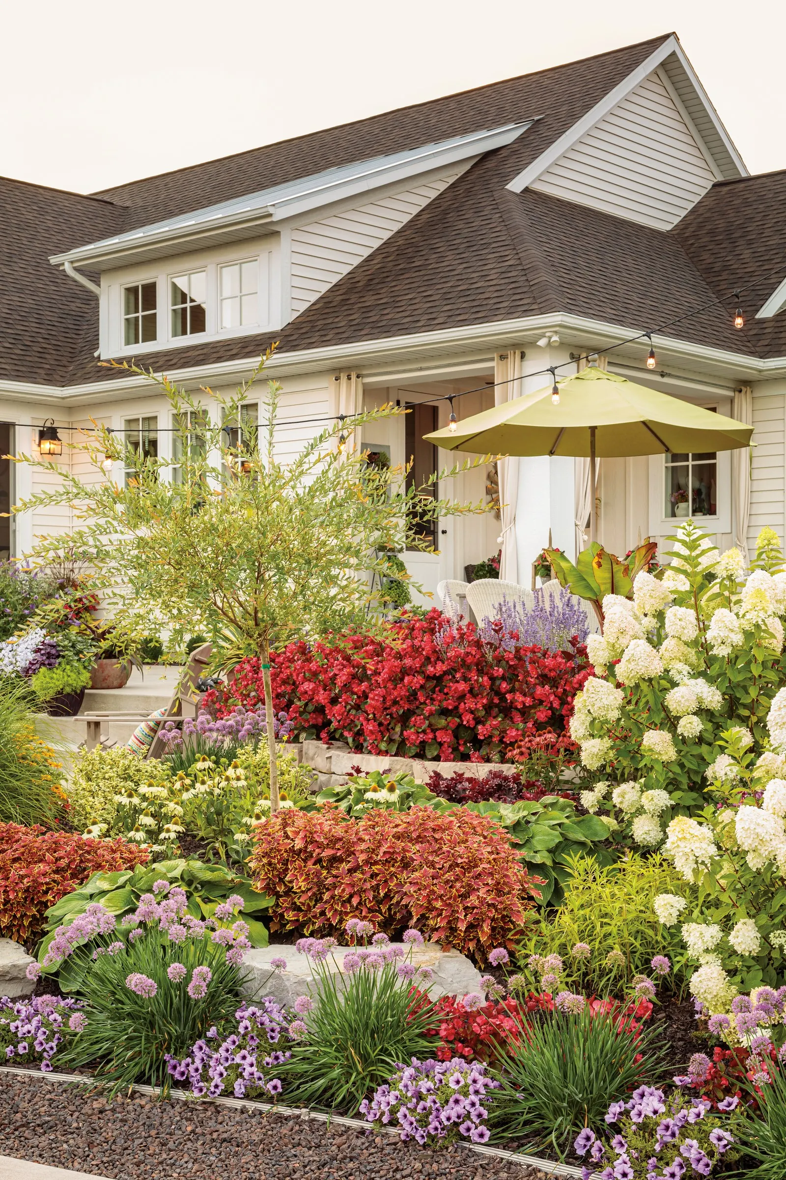 Bobo® Panicle Hydrangea (Hydrangea paniculata) — features abundant white blooms that age to a lovely pink