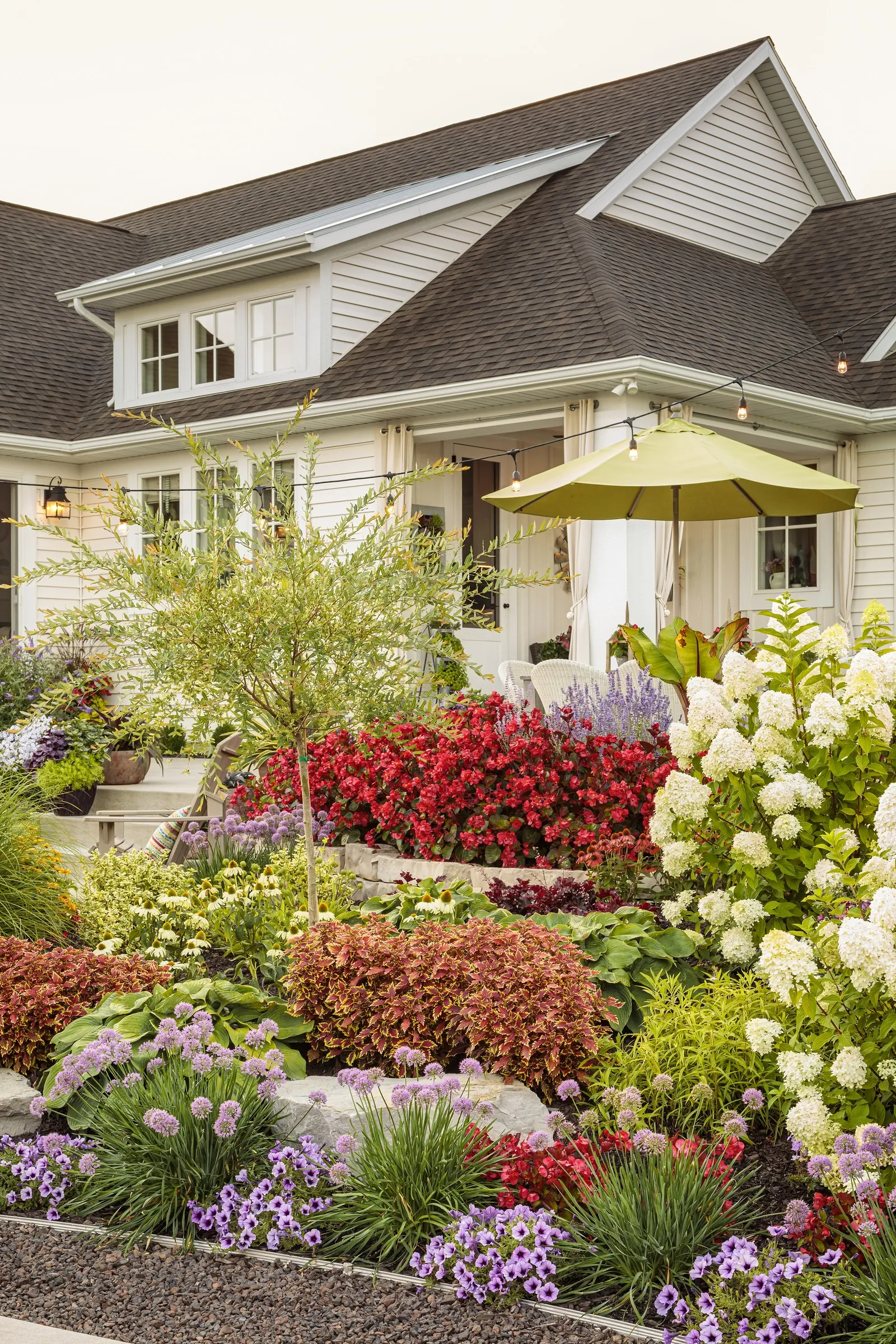 Bobo® Panicle Hydrangea (Hydrangea paniculata) — The flowers are held upright on strong stems