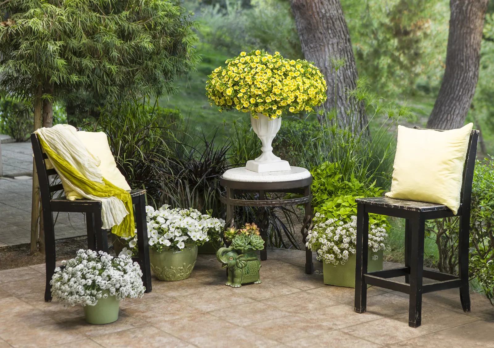 Lemon Slice® Calibrachoa — commonly referred to as Lemon Slice® Calibrachoa; plant in part sun to sun with well-drained soil, average water, and regular