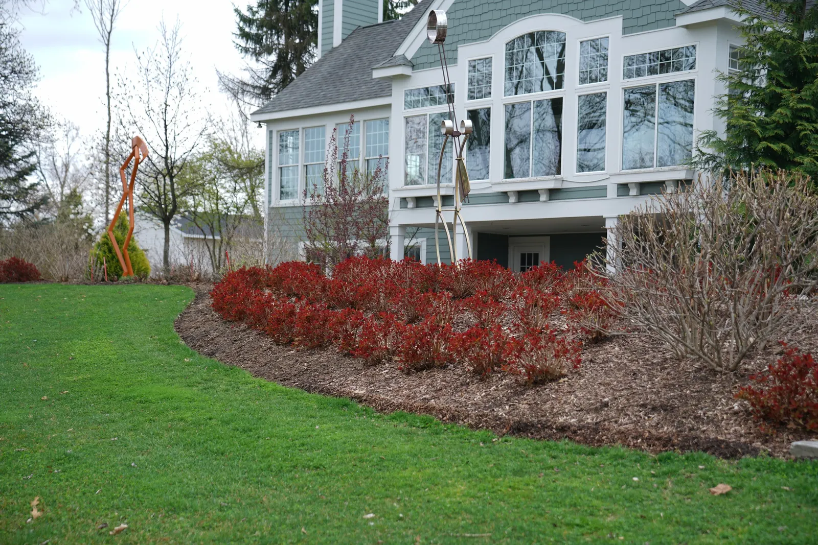 Double Play Doozie® Spirea (Spiraea x) — The Spiraea x Double Play Doozie® is a compact deciduous shrub with mounded green foliage